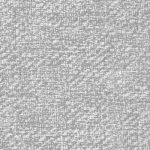 Wide Width Carpet Texture