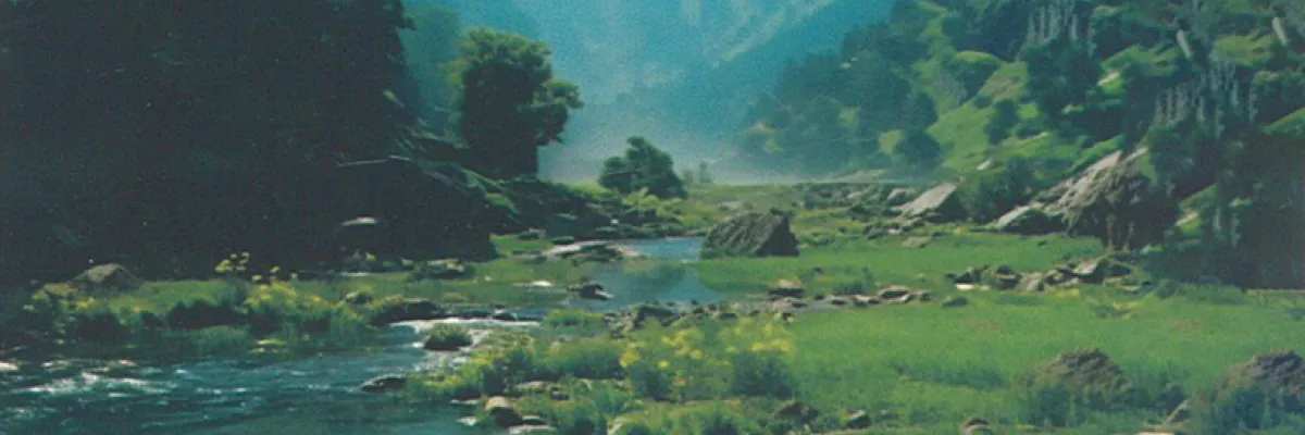 Série « Woodland »